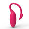 Flamingoapp Bluetooth Parenvibrator