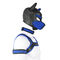 ROHS-van het de Lijfeigenschappuppy van de Geslachtsamulet het Spelhond Hood Mask Neck Collar